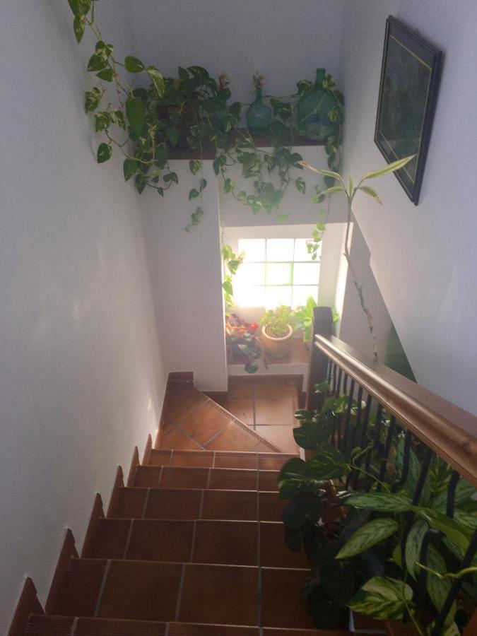 Penzion La Granada Orgiva Exteriér fotografie